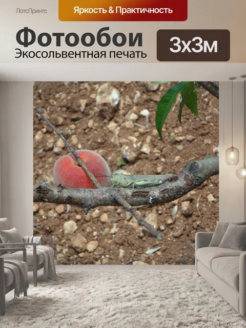Фотообои Натюрморт