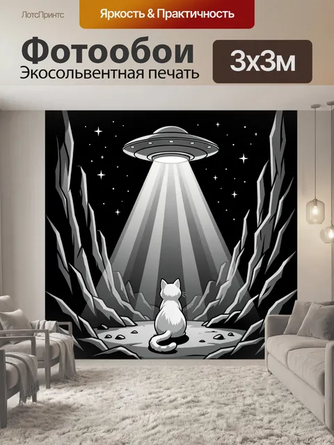 Фотообои Космический корабль над котом