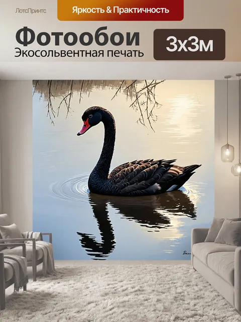 Фотообои создайте изображение черного лебедя, запечатленного во время утреннего тумана на спокойной реке