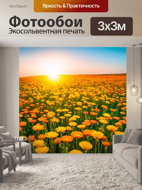 Фотообои поле, где ярко желтые и оранжевые цветы создают красочное покрывало под голубым небом