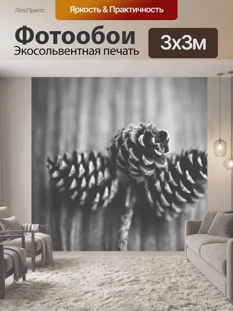 Фотообои Еловая шишка