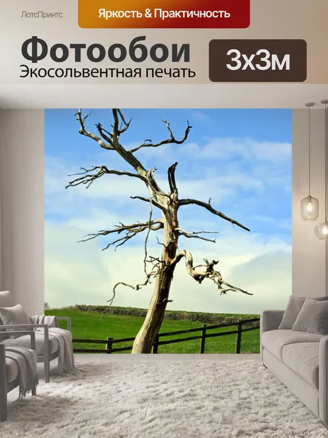Фотообои Сухое дерево