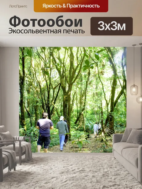 Фотообои Природа тропический лес дои Интанон наци