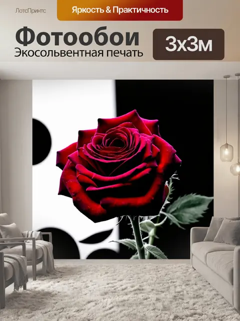 Фотообои розы в стиле нуар, с абстрактными формами вдали, создающими ощущение глубины и перспективы
