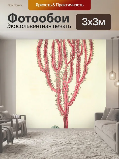 Фотообои Коралловые иллюстрации старинного искусс