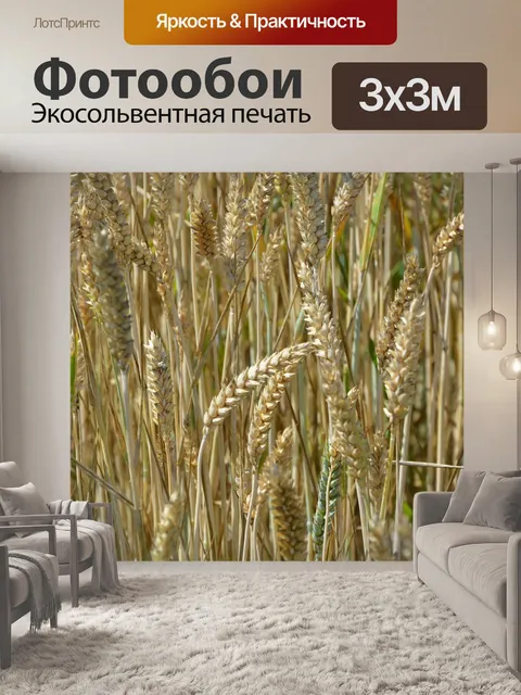 Фотообои Колосья пшеницы