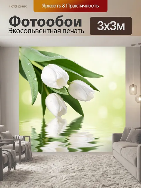 Фотообои Белые тюльпаны с каплями