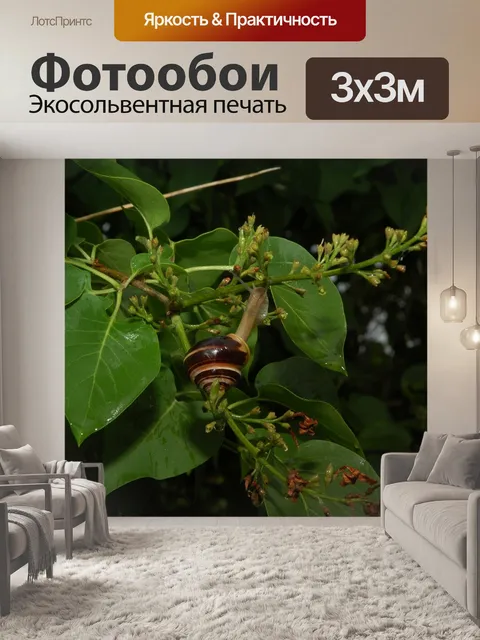 Фотообои Природа