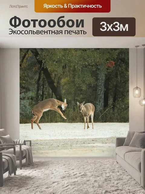 Фотообои Играют два белохвостых оленёнка