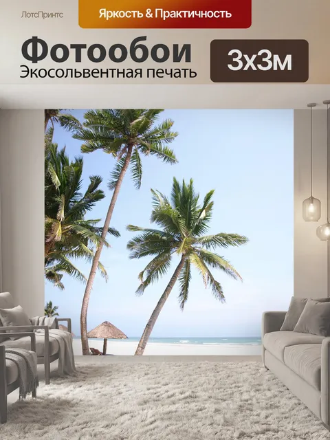 Фотообои Кокосовое дерево