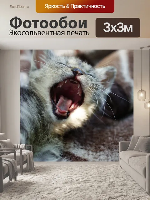 Фотообои Зевать