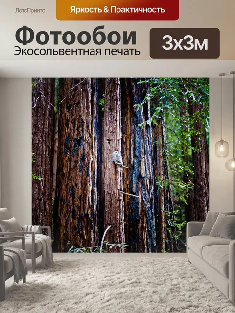Фотообои Сова