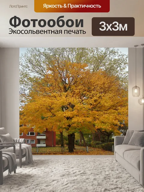 Фотообои дерево