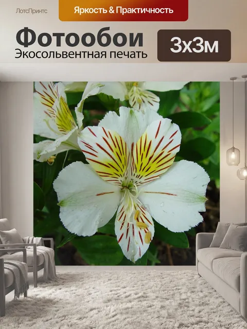 Фотообои Лилия
