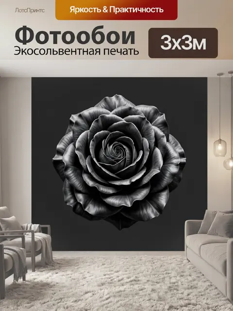 Фотообои Чёрная роза крупным планом