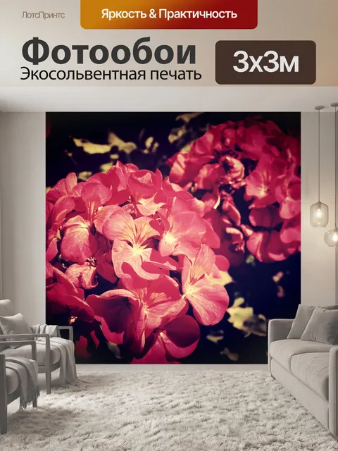 Фотообои Красивый цветок