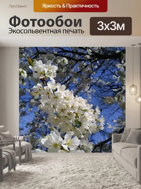 Фотообои Синий