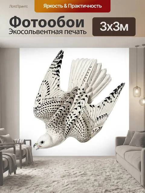 Фотообои Сокол канюк старинный клипарт