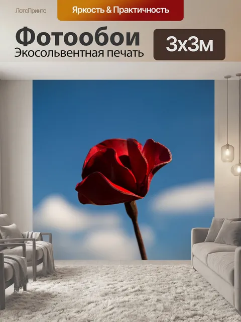 Фотообои Почтить память жертв, красные маки