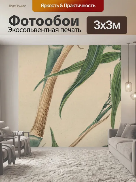 Фотообои Бамбук Дерево