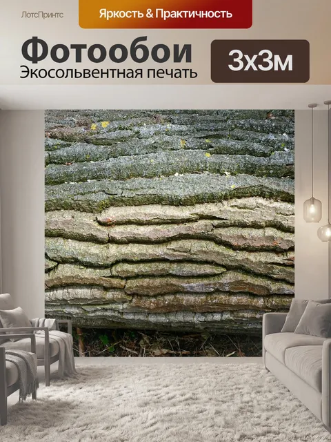 Фотообои Кора