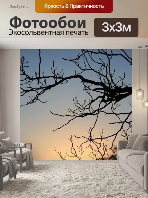 Фотообои дерево с закатом