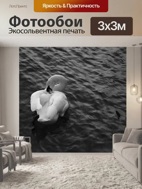 Фотообои Лебедь