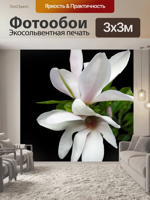 Фотообои Магнолия