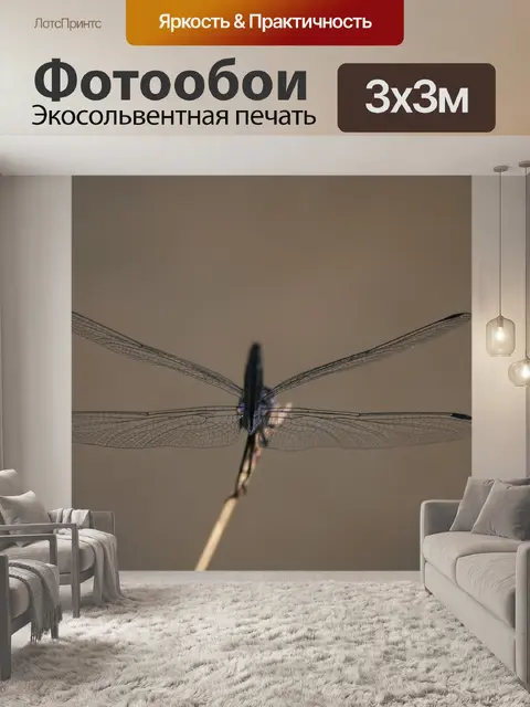Фотообои Стрекоза