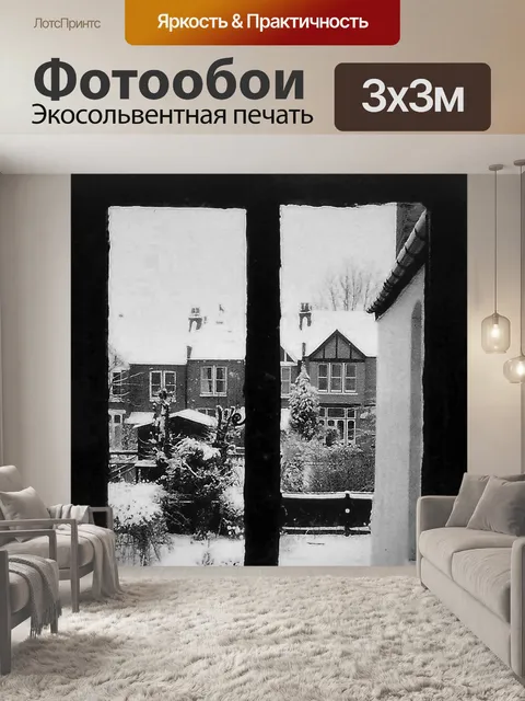 Фотообои Зима в пригородах