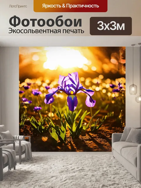 Фотообои фиолетовый ирис, расцветающий в залитом солнцем цветочном поле, излучает гармонию и красоту