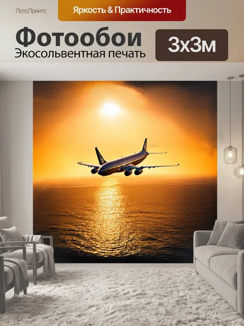 Фотообои величественный самолет
