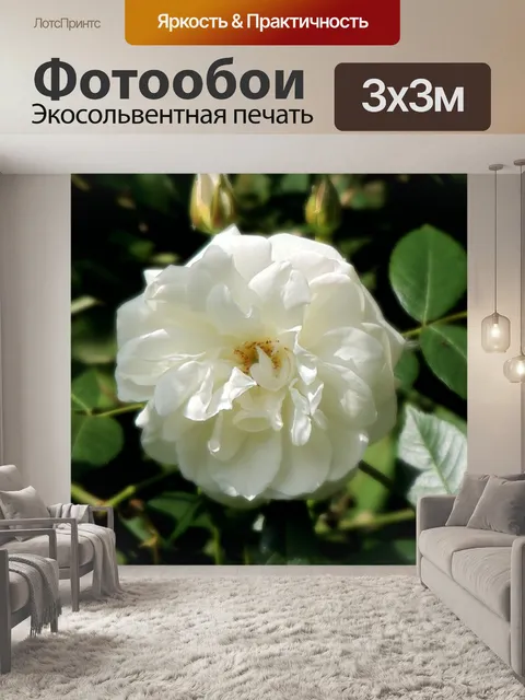 Фотообои Розовый