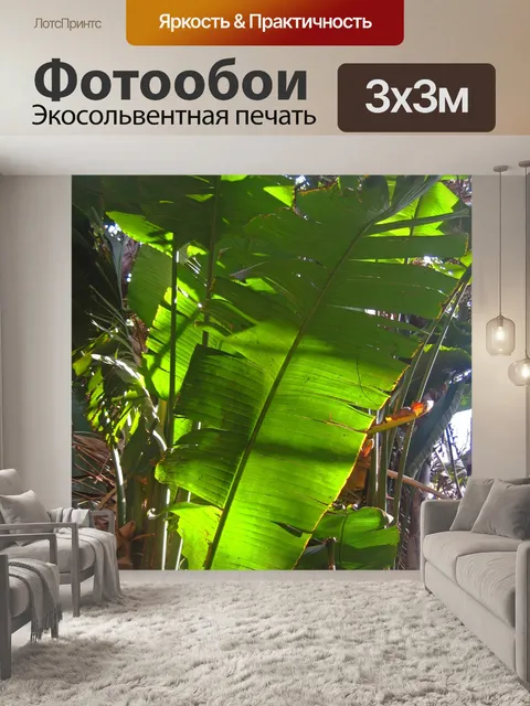 Фотообои свет за зеленым бананом
