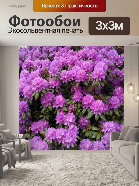 Фотообои Рододендрон фиолетовое лето