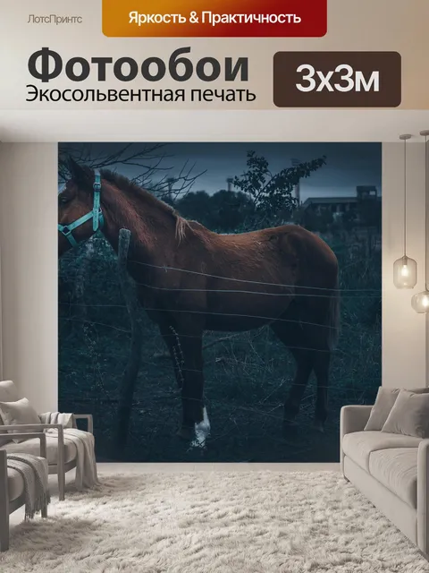 Фотообои Лошадь