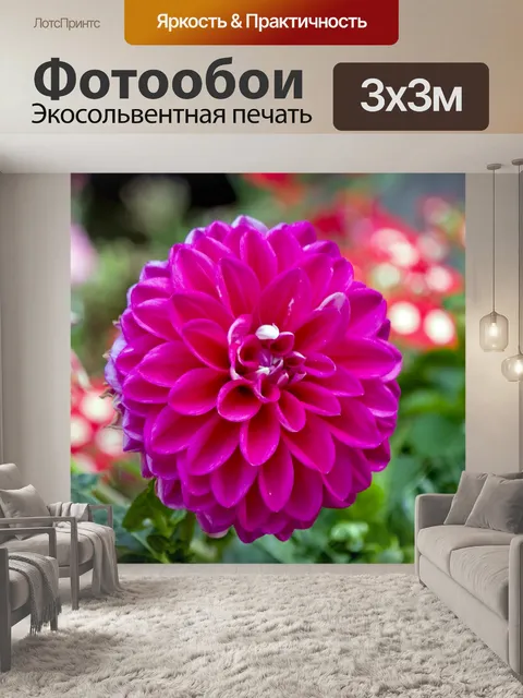 Фотообои Цветок
