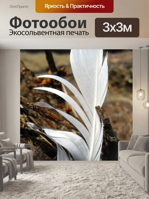 Фотообои Перо