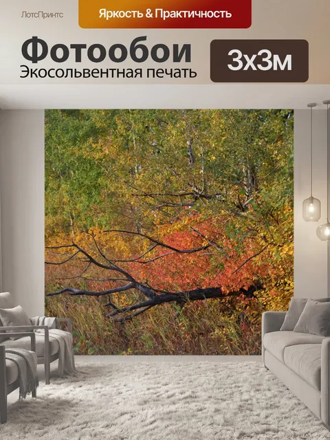 Фотообои Осенние листья