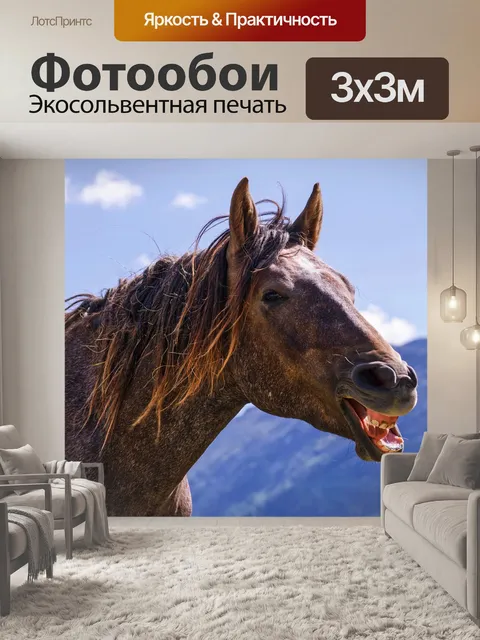 Фотообои Лошадь