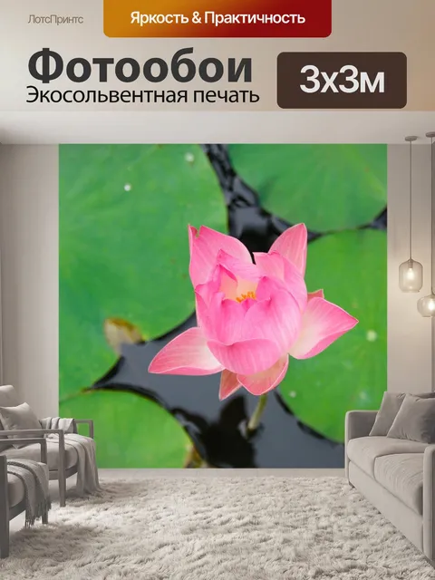 Фотообои Водяная лилия