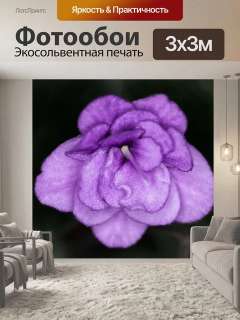 Фотообои Фиолетовый