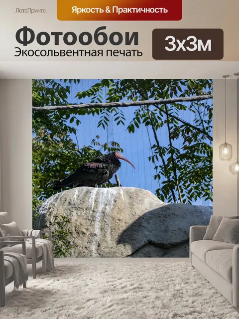 Фотообои Ибис