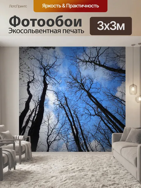 Фотообои Черные деревья