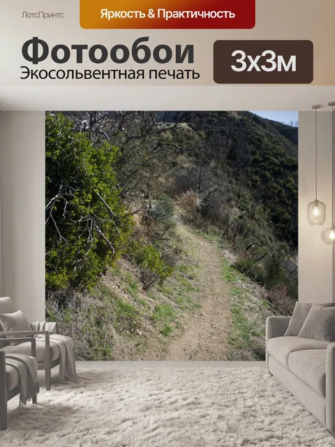 Фотообои Angeles National Forest Trail