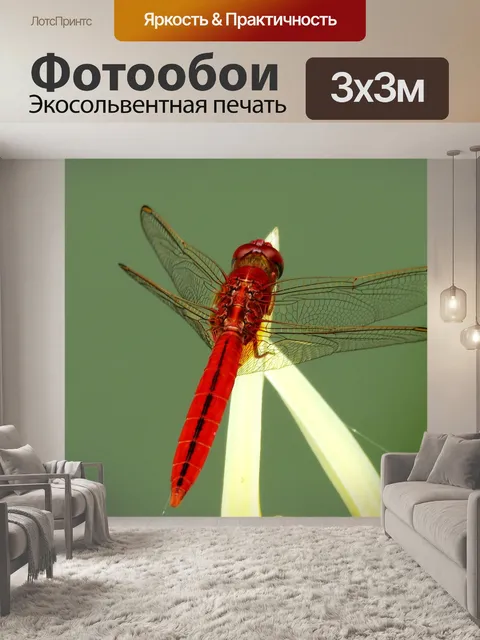 Фотообои Дракон
