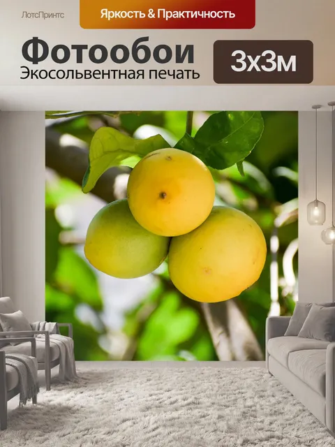 Фотообои Лимон