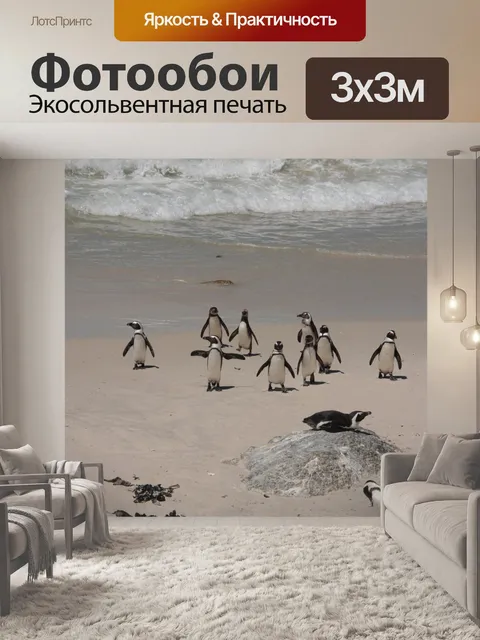 Фотообои Пингвины