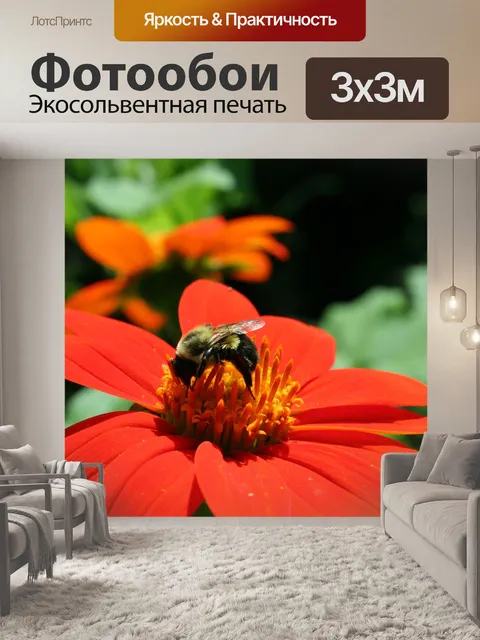 Фотообои Цветок
