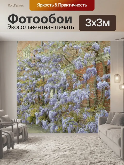 Фотообои Глициния на старом здании